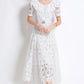 Alice Dress 3 Colors