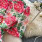 Rhona Dress
