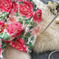Rhona Dress